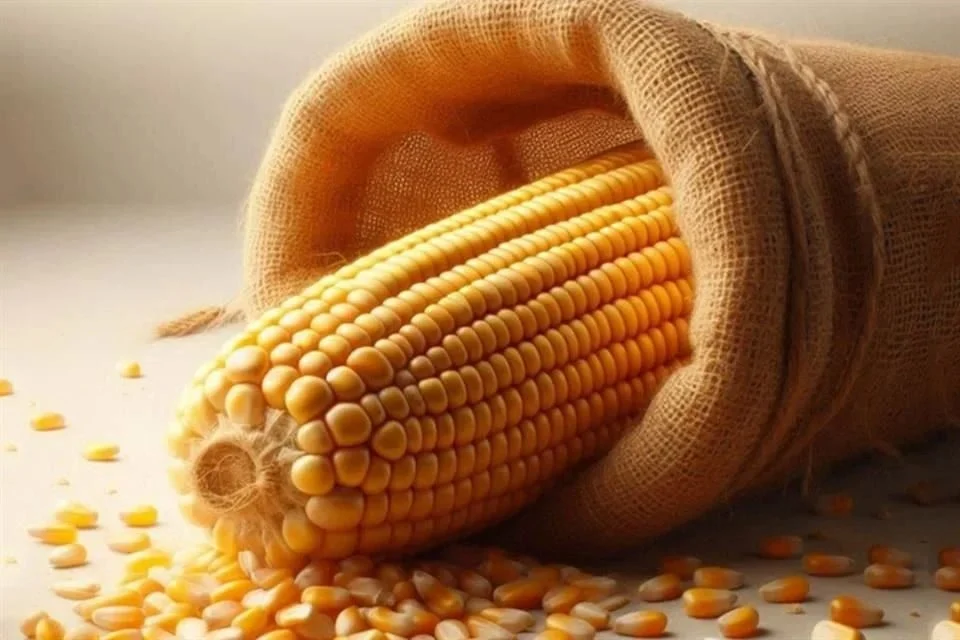 Cae meta de autosuficiencia en granos