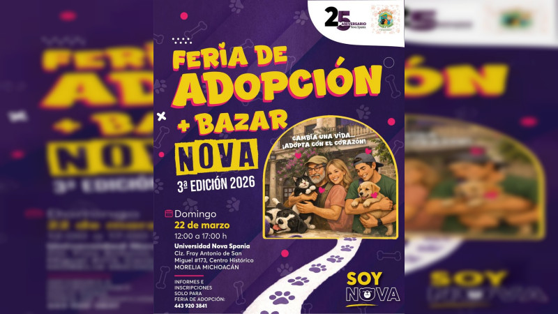 Adopta un nuevo amigo: perros y gatos esperan por ti en feria de amor y segundas oportunidades