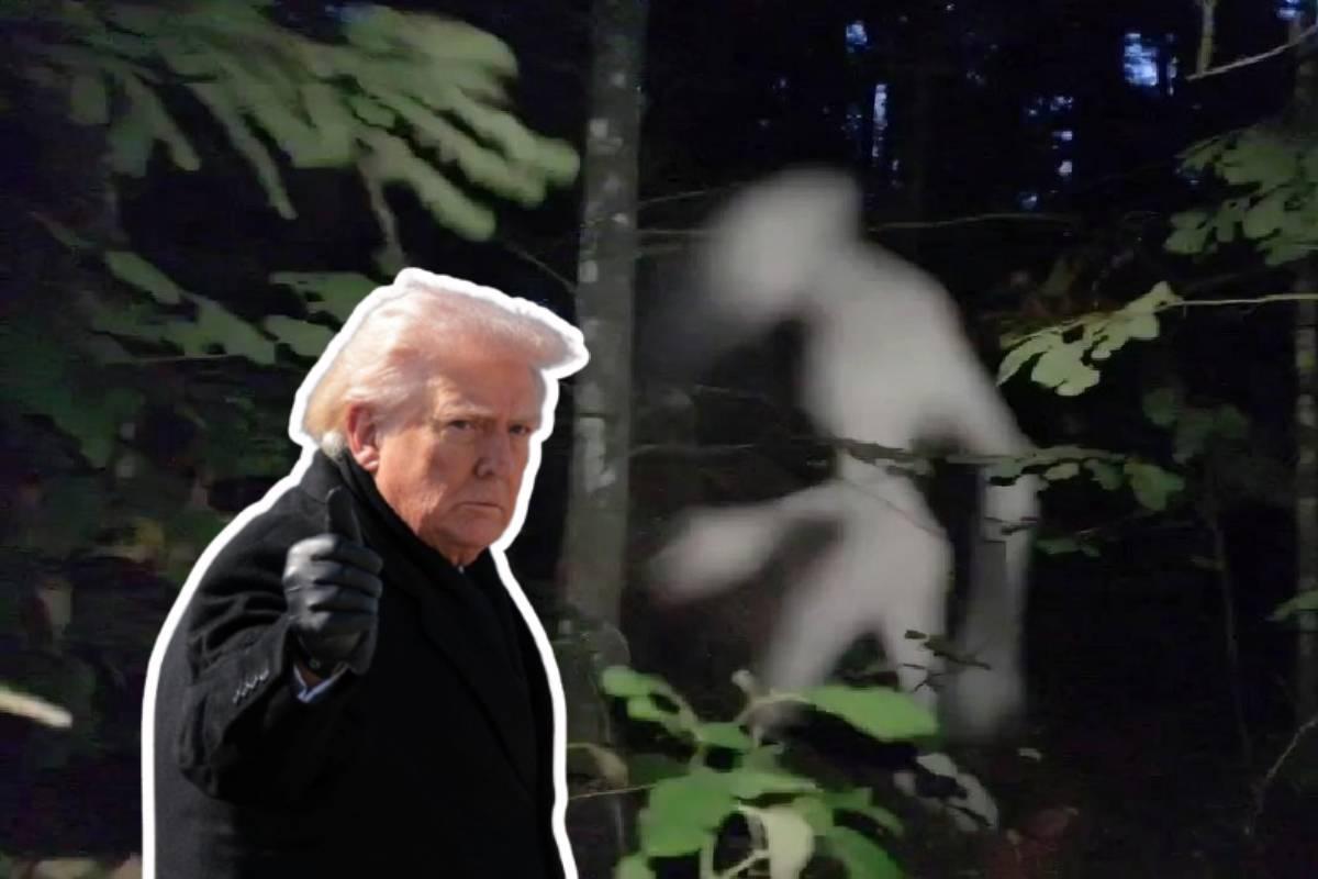 Extraterrestres al descubierto: EE.UU. lanza un portal oficial sobre vida alienígena